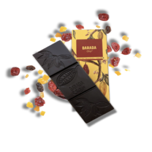100% Dark Chocolate with Dried Fruits