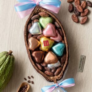 The Upcycled Cacao Pod Collection